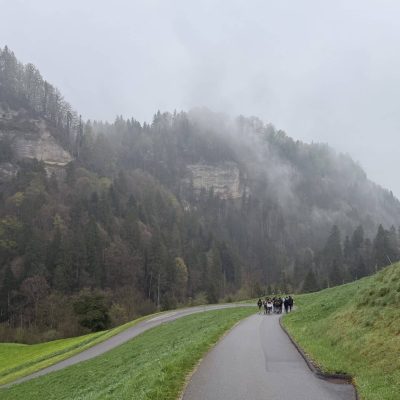 IMG_2239